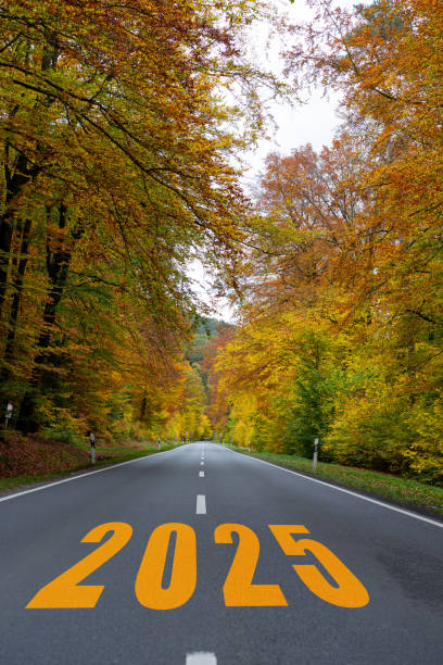 istock Text 2025 written on the road. 1481155260