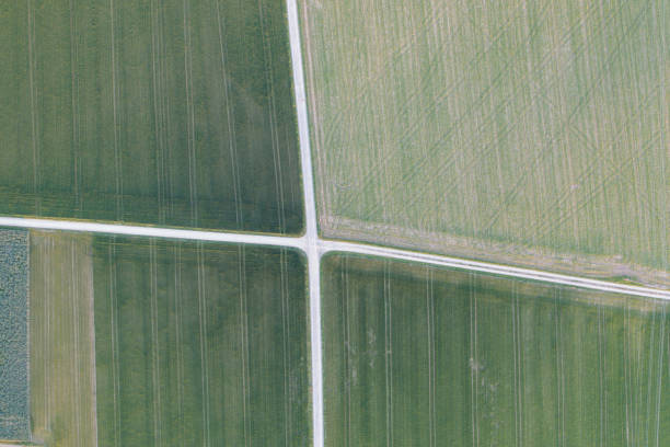 istock Agricultural fields separated by a stone path. Corn and potatoes are grown to survive the hunger crisis. 1481158435