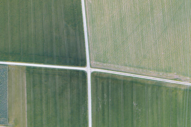 istock Agricultural fields separated by a stone path. Corn and potatoes are grown to survive the hunger crisis. 1481158439