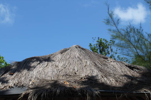 istock Cottage roof with blue sky 1481158761