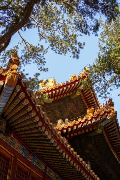 istock Beijing Forbidden City in warm sunny winter 1481160349