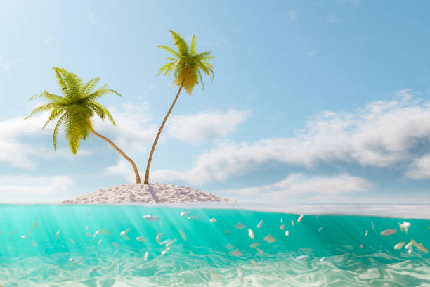 istock 3d rendering of island in sea 1481163906