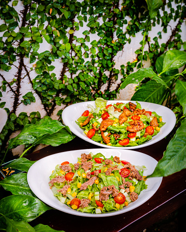 Tuna Salad White Ceramic Bowl High Resolution Stock Photo\nHealthy salad\nTuna fillet\nHealthy eating