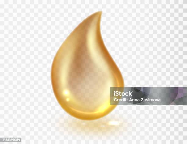 Golden Drop Vector Gold Drop Isolated On Transparent Background Vector Realistic Droplet ...