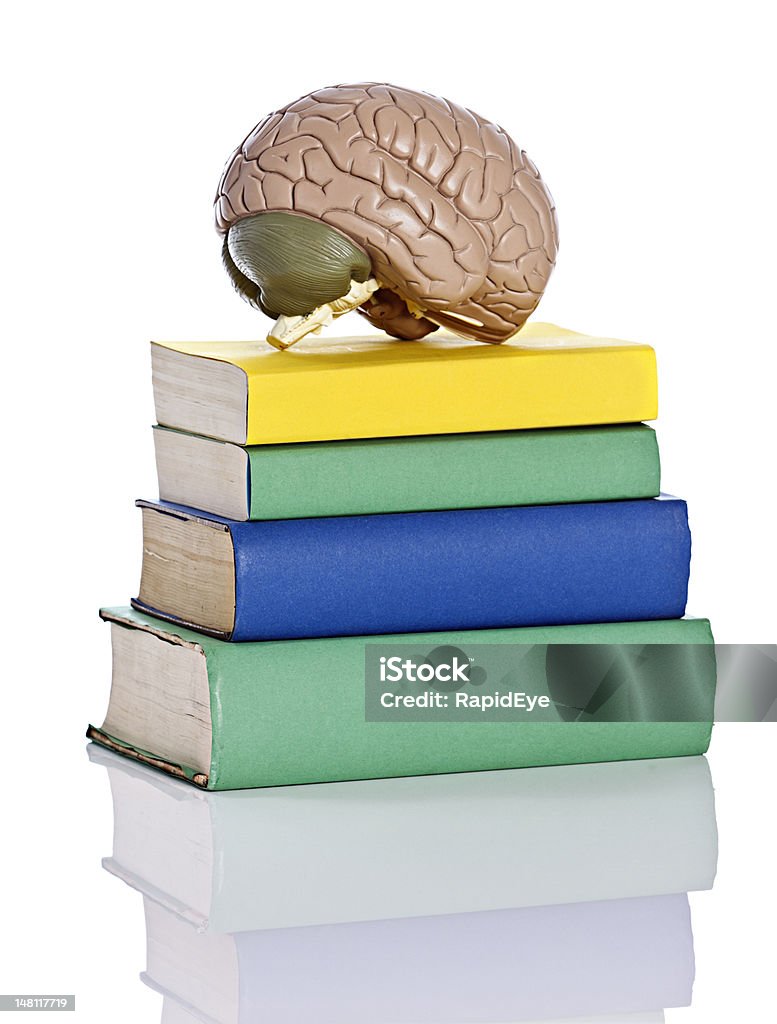 Modelo Anatómico do cérebro humano sentado sobre livros - Royalty-free Fotografia de Estúdio Foto de stock