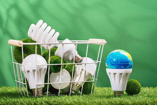 Earth Day. Earth globe and led bulbs in basket in green background. Environment day. Safe disposal, ecology concept. Renewable energy efficient technologies. Climate change and global warming.
