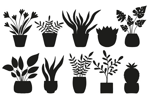 A set of silhouettes of indoor plants. Vector set. Vector illustration