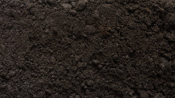 istock Textured brown earth surface as a background. Fertile soil. View from above. Organic composition of the soil. 1481180885