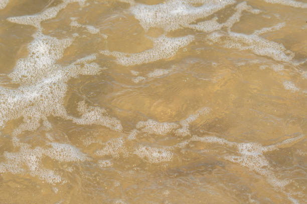 A thin layer of clear water over the sand. A seaside or ecology-themed background with clear sea water over a sandy bottom.
