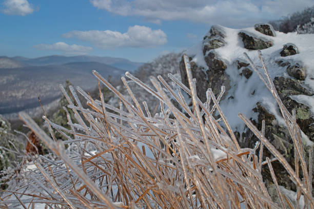 Winter in Shenandoah National Park