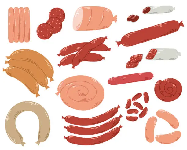 Vector illustration of Assortment of beef, pork and chicken sausages set