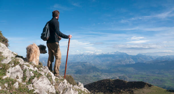 istock Man and dog looking the horizon from mountain top 1481183993