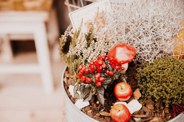 Autumnal composition in flower shop pot