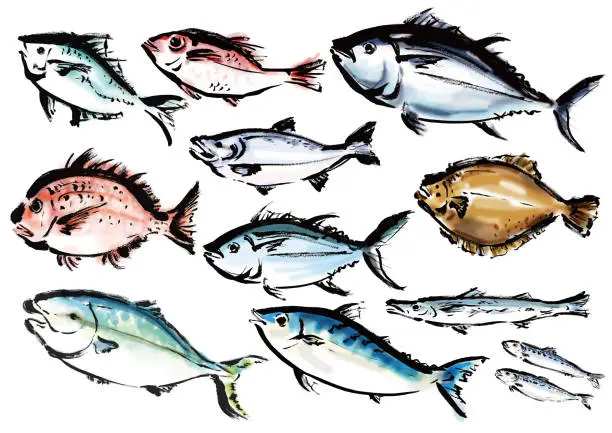 Vector illustration of A collection of various hand-drawn fish Japanese-style brush-drawn fish