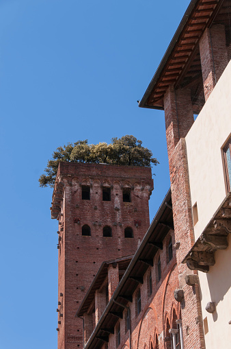 The ancient tower of Palazzo Guinigi in Lucca, Tuscany