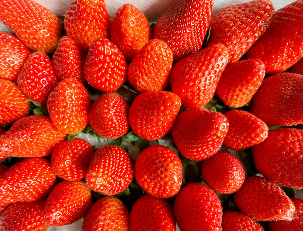 istock Fresh ripe strawberries on display in tray 1481189134