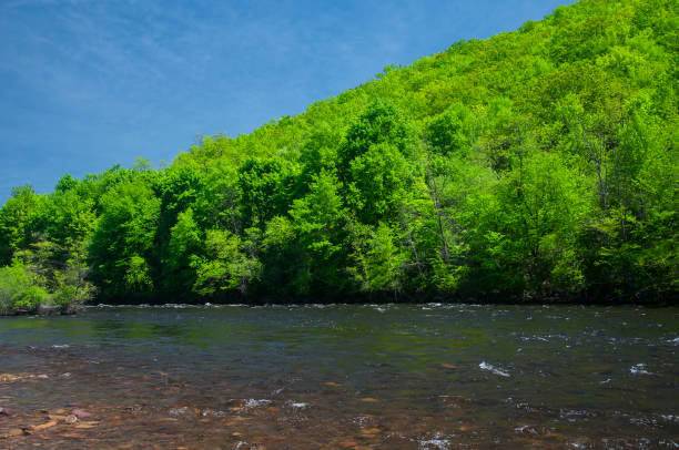 istock Lehigh River Landscape Jim Thrope Pennsylvania 1481190452