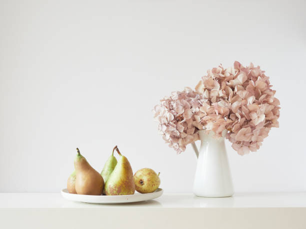 Elegant and simple composition on white table with dried pink hydrangea flowers and dish with pears . Front view with copy space on off-white wall background.