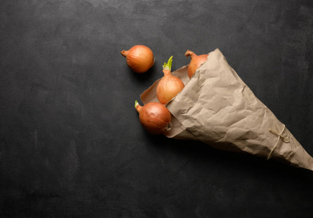 Plant in a paper bag isolated