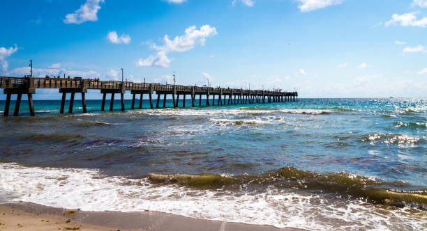 istock Dania Beach Pier  in Florida 1481193314