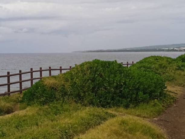 istock Near the sea 1481193464