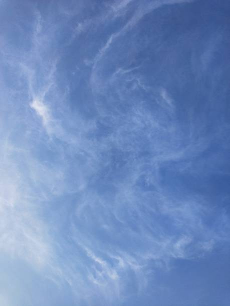 Creative beautiful cirrus clouds seen in the evening sky