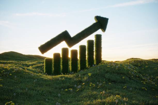 sustainable growth chart - investment variation development growth imagens e fotografias de stock
