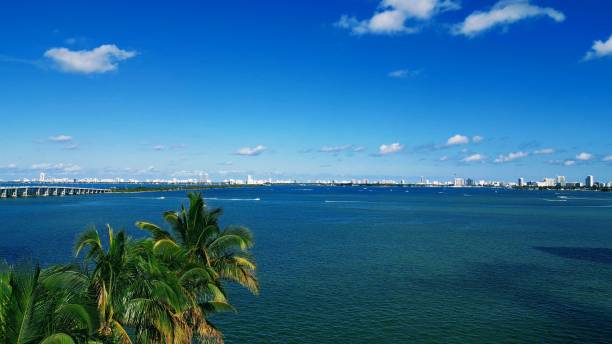 istock Warm days on the water in Biscayne Bay 1481195482