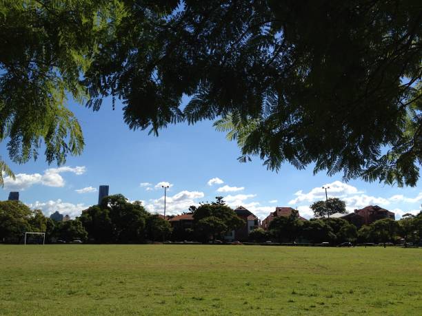 istock a park with green grass and grass covered ground, blue sky with white clouds, 1481198565