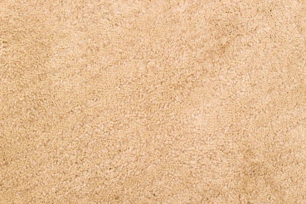 istock The texture of the beige textile carpet 1481198751