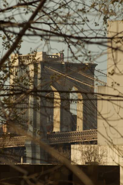 istock Brooklyn Bridge Park - Promenade 1481199670