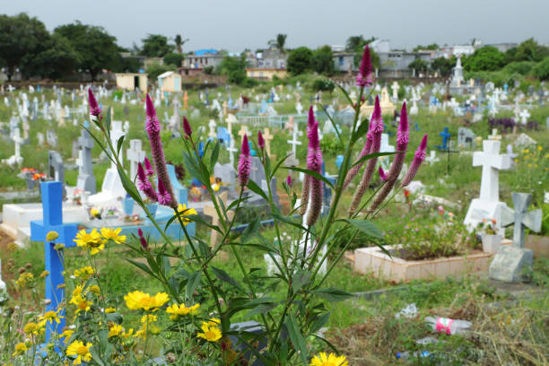 cimetière de bambous, maurice, océan indien, afrique - new life death cemetery flower photos et images de collection