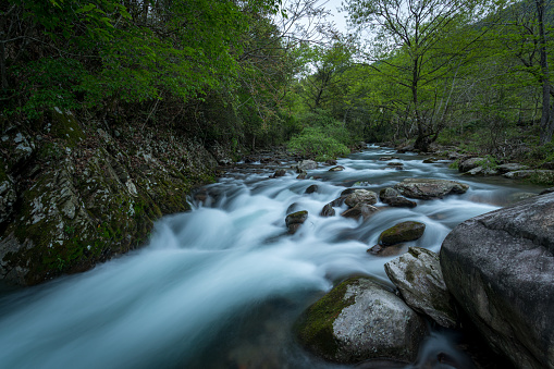Mountain river and  waterfall, east Serbia, Europe