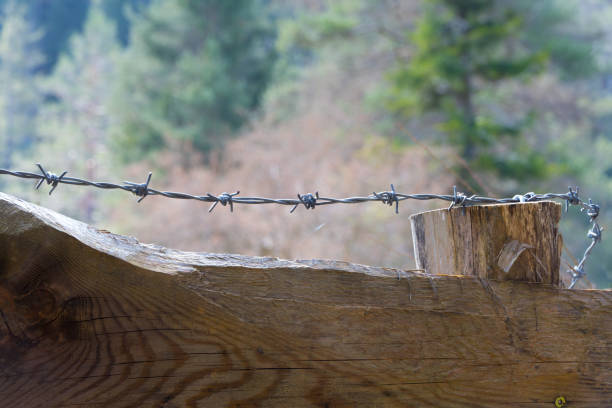 Close up stretched barbed razor wire over rustic wood wooden solid fence blurred background concept for border being locked up not allowed and restricted area