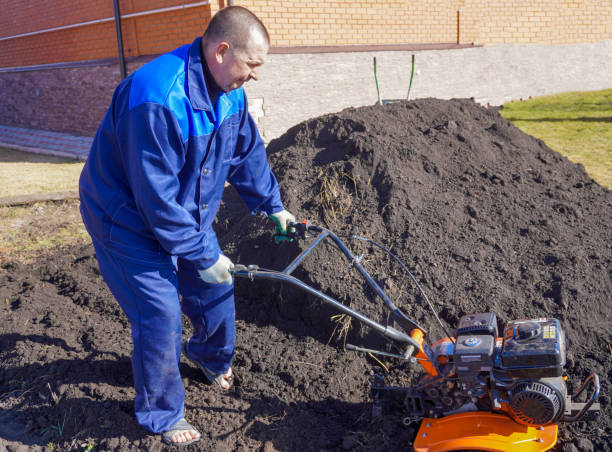 istock A man works in a vegetable garden in early spring. 1481201371