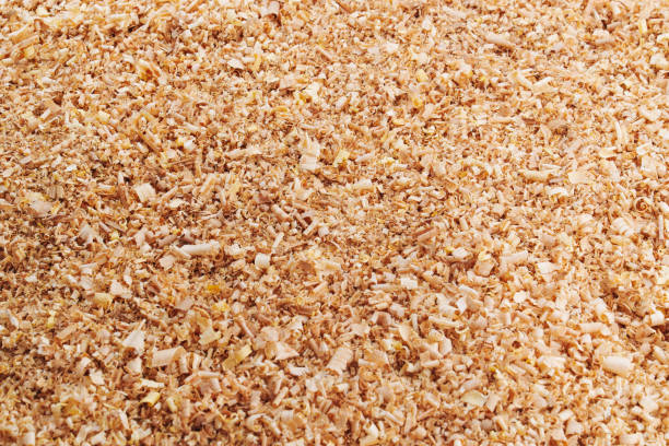 istock sawdust and shavings. material for agriculture. mulch 1481202437