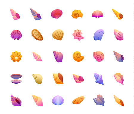 Shells gradient icons set. Vector illustration.