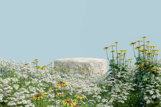 istock Abstact 3d render spring scene and Natural podium background, White stone podium on the colorful flowers and grass field for product display advertising, cosmetic, etc 1481207361