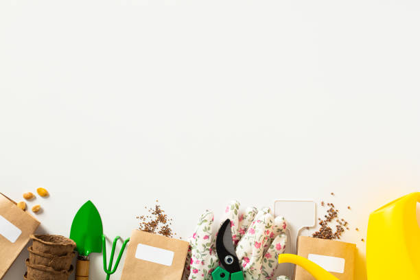 istock Frame from garden tools and seeds on a white background. Flat lay, top view. 1481210425