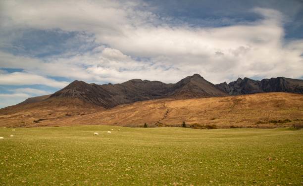 istock River Brittle Valley, Isle Of Skye. 1481212352