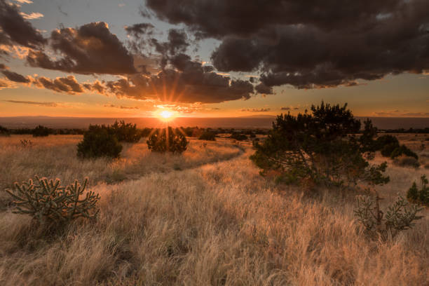 istock Sunset in the High Desert, Albuquerque 1481212531