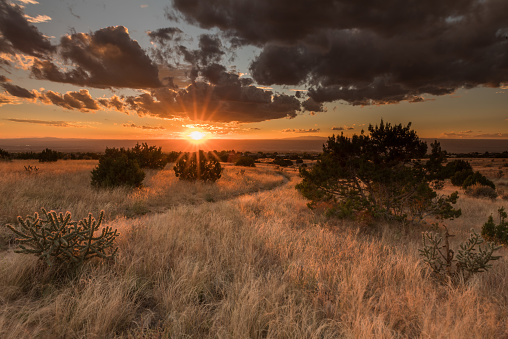 Sunset looking towards Albuquerque from the foothills around Sandia peak.