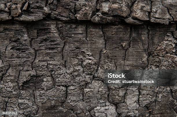 Geschmorter Stück Holz Mit Interesitng Mustern Und Strukturen Stockfoto und mehr Bilder von Brennen