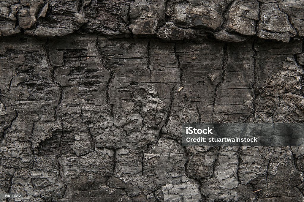 Se carbonice completamente piezas de madera con los patrones interesitng y texturas - Foto de stock de Color negro libre de derechos