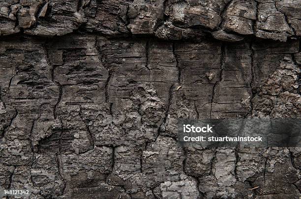 Se Carbonice Completamente Piezas De Madera Con Los Patrones Interesitng Y Texturas Foto de stock y más banco de imágenes de Color negro