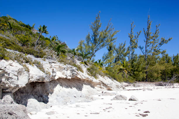 Half Moon Cay Island Eroded Beach Rocks And Trees stock photo
