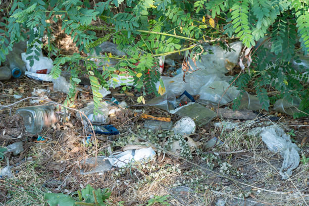 Garbage dump in forest scattered on grass. Plastic trash in the woods after picnic.