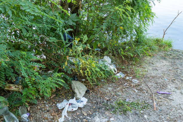 istock Garbage dump in forest scattered on grass. Plastic trash in the woods after picnic. 1481221474