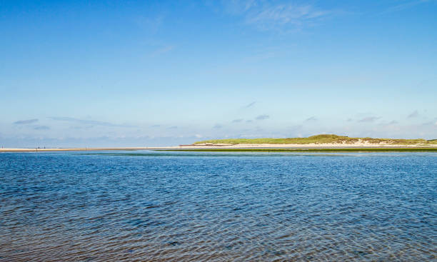 istock Seawater masrh in Texel 1481221522