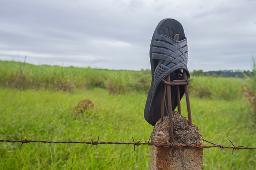 Slipper left on a fence with vegetation in the background on a cloudy day,concept of pollution of nature.